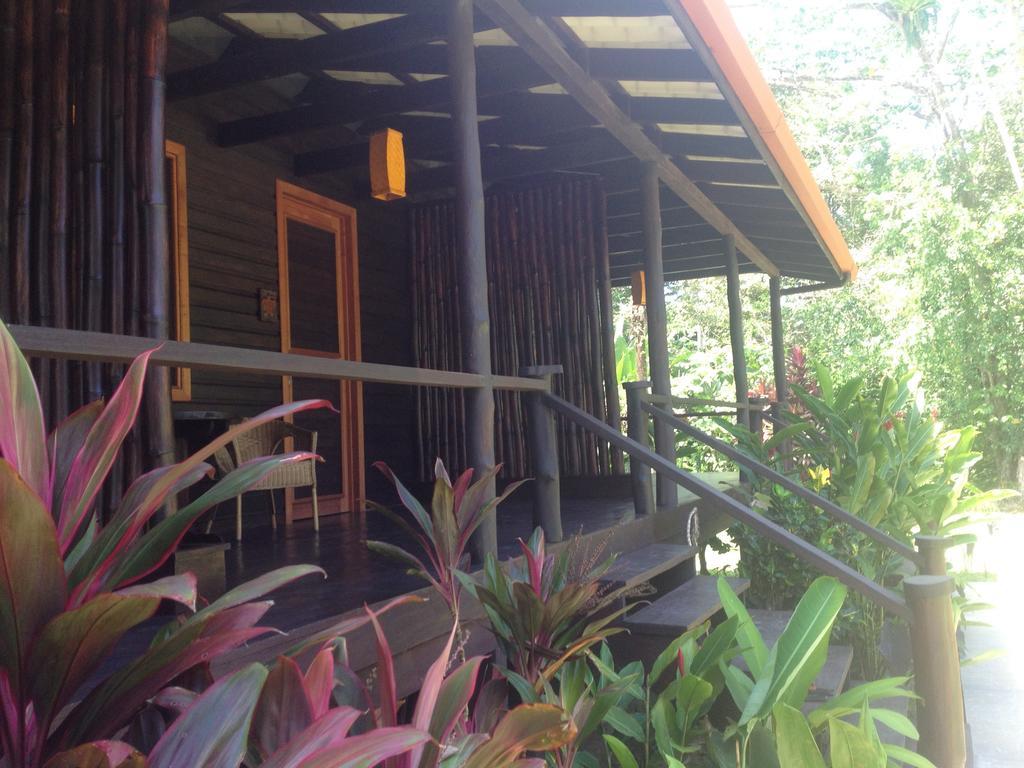 Island Plantation (Adults Only) Hotel La Gruta Room photo